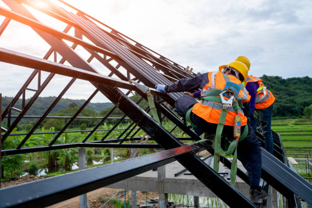 Roof Gutter Cleaning in Chisago City, MN
