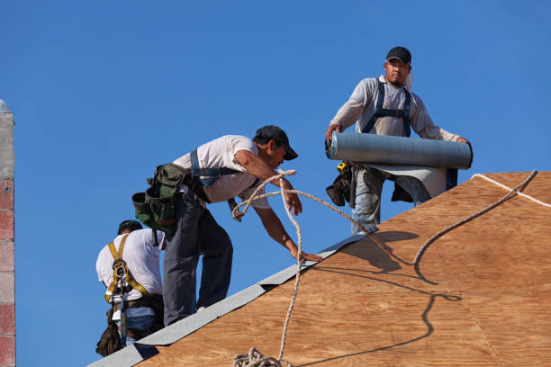 Best Roof Leak Repair  in Chisago City, MN