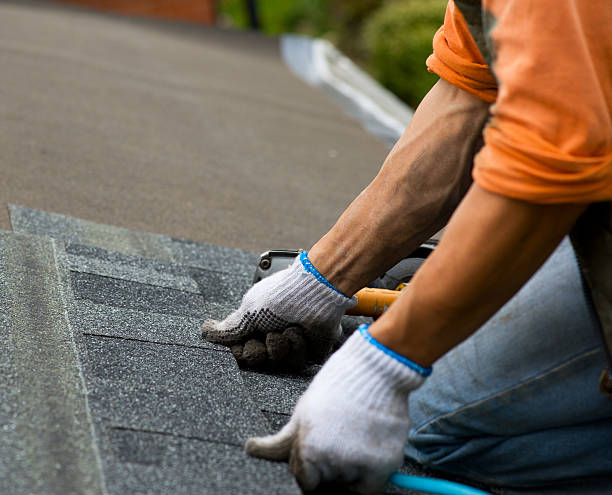 Best Roof Maintenance Services  in Chisago City, MN